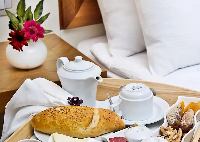 Tugcu Select Hotel Bursa